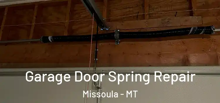  Garage Door Spring Repair Missoula - MT